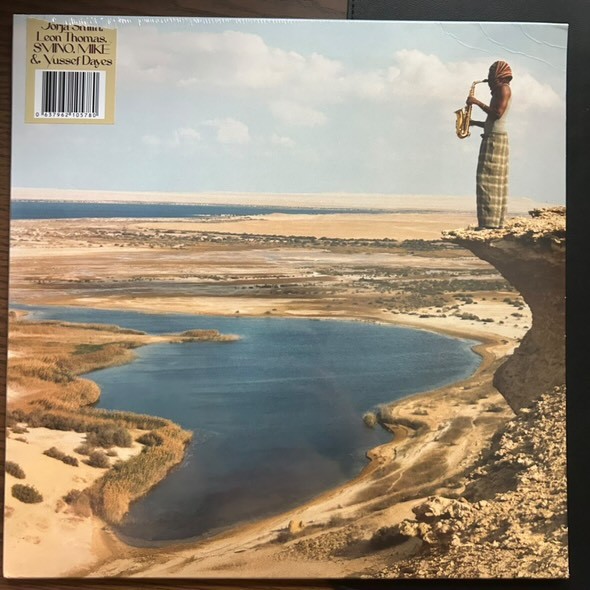 Venna Malik LP Vinyl NEW