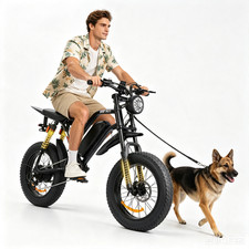 20" Off-Road Tire Electric Bike 1500W Peak 48V 15Ah For Adults 7-Speed Ebike