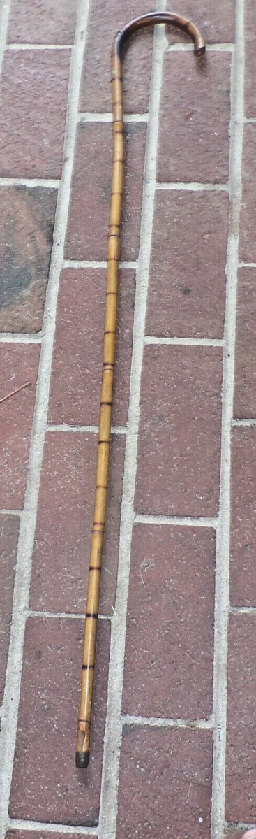 Vintage Thin Bamboo Shaft Classic Fashion Crook Handle Vintage Thin Bamboo Shaft Classic Fashion Crook Handle