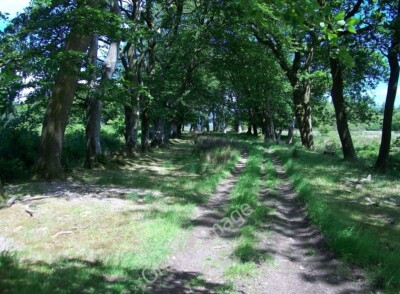 Photo 6x4 A bend in Y Lon Goed Llecheiddior/SH4743  c2010