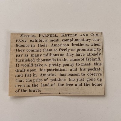 Messrs Parnell Kettle & Co Millions More 1881 Washington DC Clipping TAJ8-S29