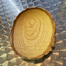 Unfinished Oval Wood Slice Craft Piece, Natural Bark Edge, 8 in Bowl carved