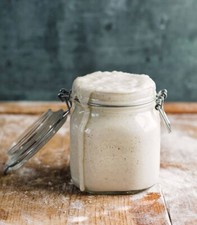 San Francisco Certified Organic  STRONG SOURdough STARTER 236yo family heirloom