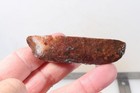 Woodward Ranch Plume 5.5 oz. Agate lapidary faced rough lot Ja4 — photo 7