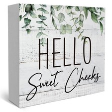 Rustic Bathroom Decor Farmhouse Hello Sweet Cheeks Wooden Sign, Toilet Rules ...
