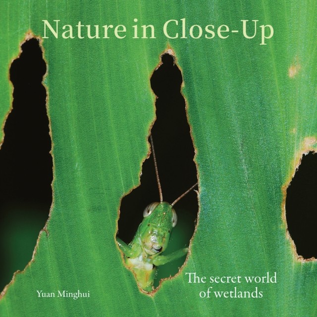 Nature in Close-Up The secret world of wetlands (Hardback Book) - Image 3