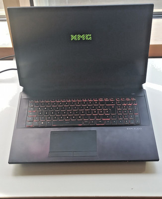 Gaming-Laptop: Schenker XMG Ultra 17 (Nvidia Geforce RTX 3080, 128 GB RAM, 4 TB)