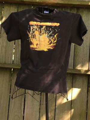 flaming lips merch