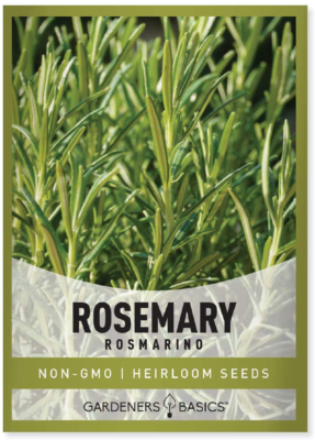 Rosemary Seeds for Planting - It Is a Great Heirloom, Non-Gmo Herb Variety-  Grea | eBay