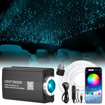 3m 500x Fiber Optics Car Ceiling RBGW LED Starry Light Lamp Remote/App Control