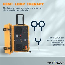 Equine PEMF Therapy Horses Massage Machine PMST LOOP Magnetic Physiotherapy New