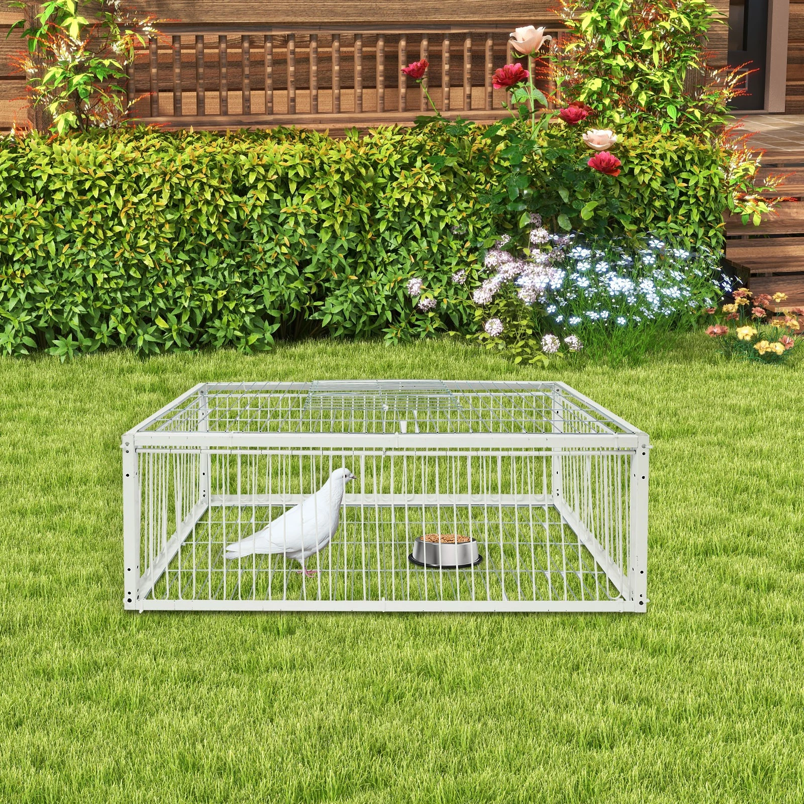 Pigeon Trap Cage, Pigeon Cage, Portable Escape-Proof Pigeon Trap Cage
Opens in a new window or tab