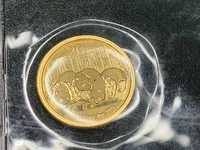 1/20 Oz Gold Panda Coin 2013 999.9 Fine Bullion Solid 24ct Sealed Mint 20 Yuan