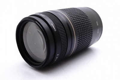 Canon EF 75-300mm F4-5.6 II USM Lens Canon Lens Fully Functional 791