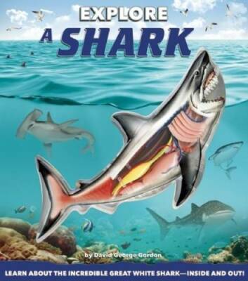 Explore a Shark - Hardcover By Gordon, David George - GOOD