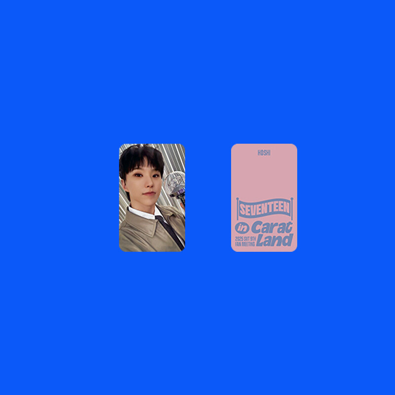 13pcs/set SEVENTEEN in CARAT Land 2025 Double-sided Self Made