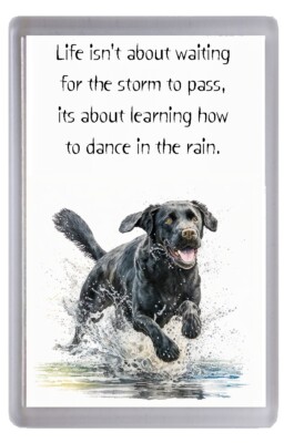 Black Lab No 2 Hunde Kühlschrankmagnet ''Dancing in the rain'' Gedicht