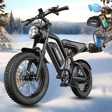 Hikeep 20" Electric Bike Fat Tires E-Bike 1000W Peak Mountain ebike for Adults