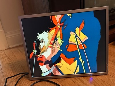 NEC MultiSync LCD1990SXi 19'' Professional IPS 5:4 Monitor Gamer Retro Medical