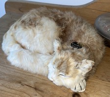 Vintage ‘Freddy The Shipwrecked Cat’ Nauticalia fan pet christmas birthday gift