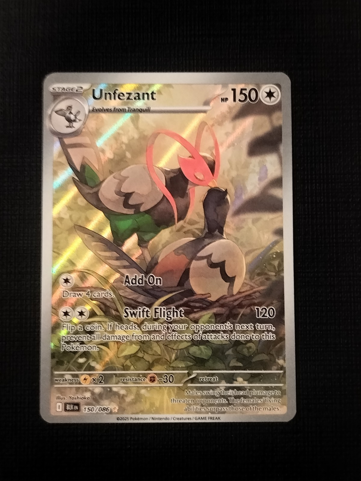 Pokemon TCG SV Black Bolt Unfezant 150/086 Illustration Rare Near Mint