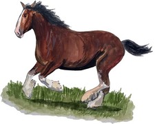 Decal Vinyl Sticker Clydesdale Horse Running Made in USA