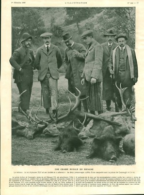 Alte Reklame Eine königliche Jagd in Spanien 1908 aus Zeitschrift