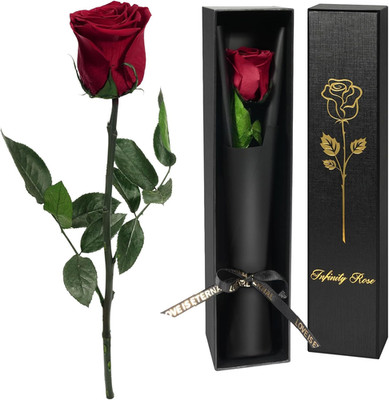 Yamonic Ewige Rose Infinity Rose mit Stiel Geschenkbox Valentinstag Rot