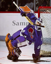 Quebec Nordiques Goalie Clint Malarchuk Game Action Color 8 x 10 Photo Picture