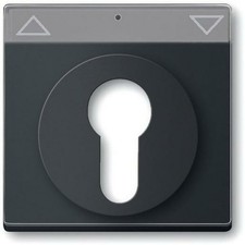 Busch-Jaeger FU/SO C-SCH. (1755 SL/PZ-885-101)