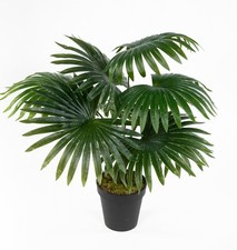 Fächerpalme Real Touch 40/50cm im Topf ZJ Kunstpflanze künstliche Palme Dekopalm