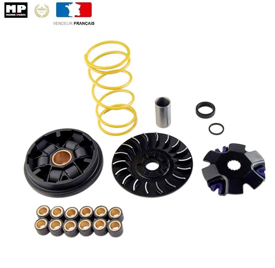 Variateur Sport CPI GTR 50 pour Retrouver de la Reprise en Côte
