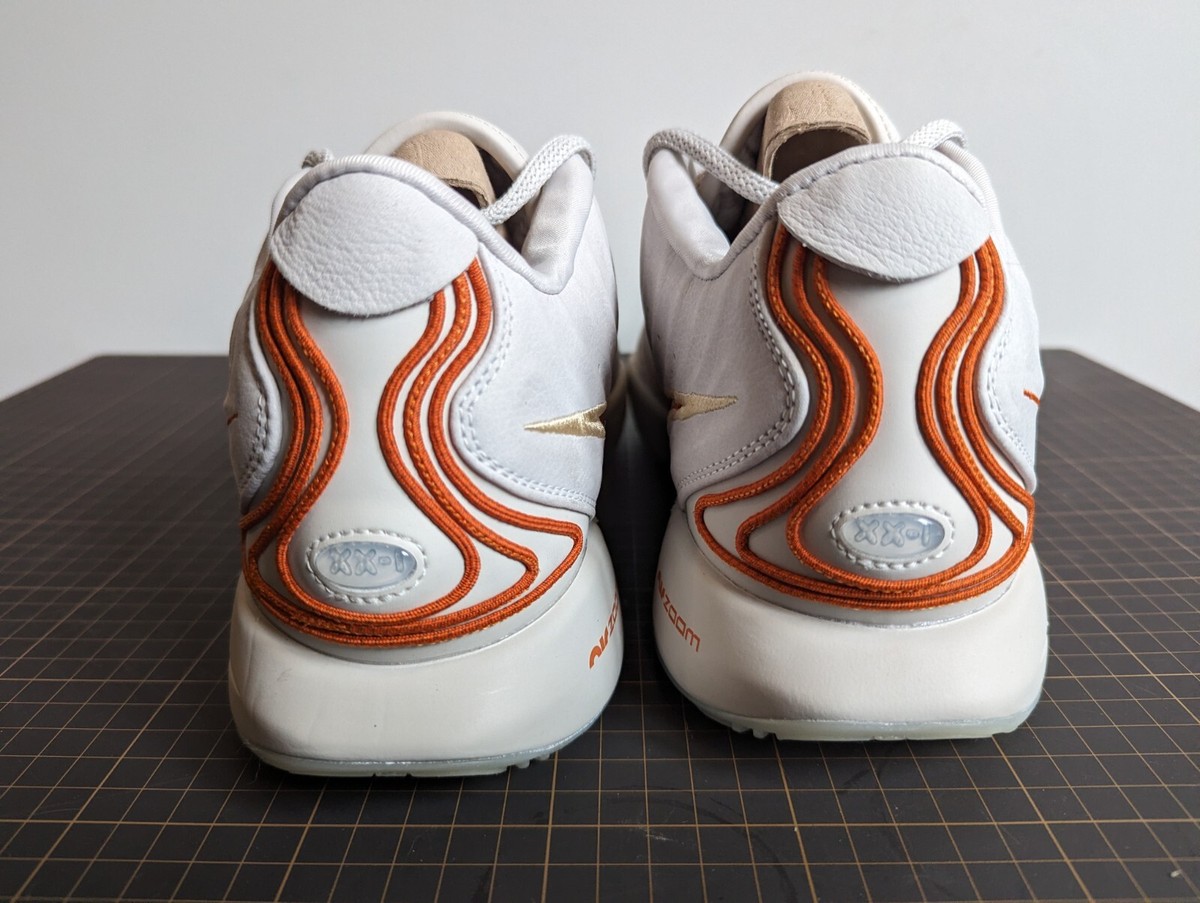 Size 13 - Nike LeBron 21 Akoya - FV2345-001 (no lid) | eBay