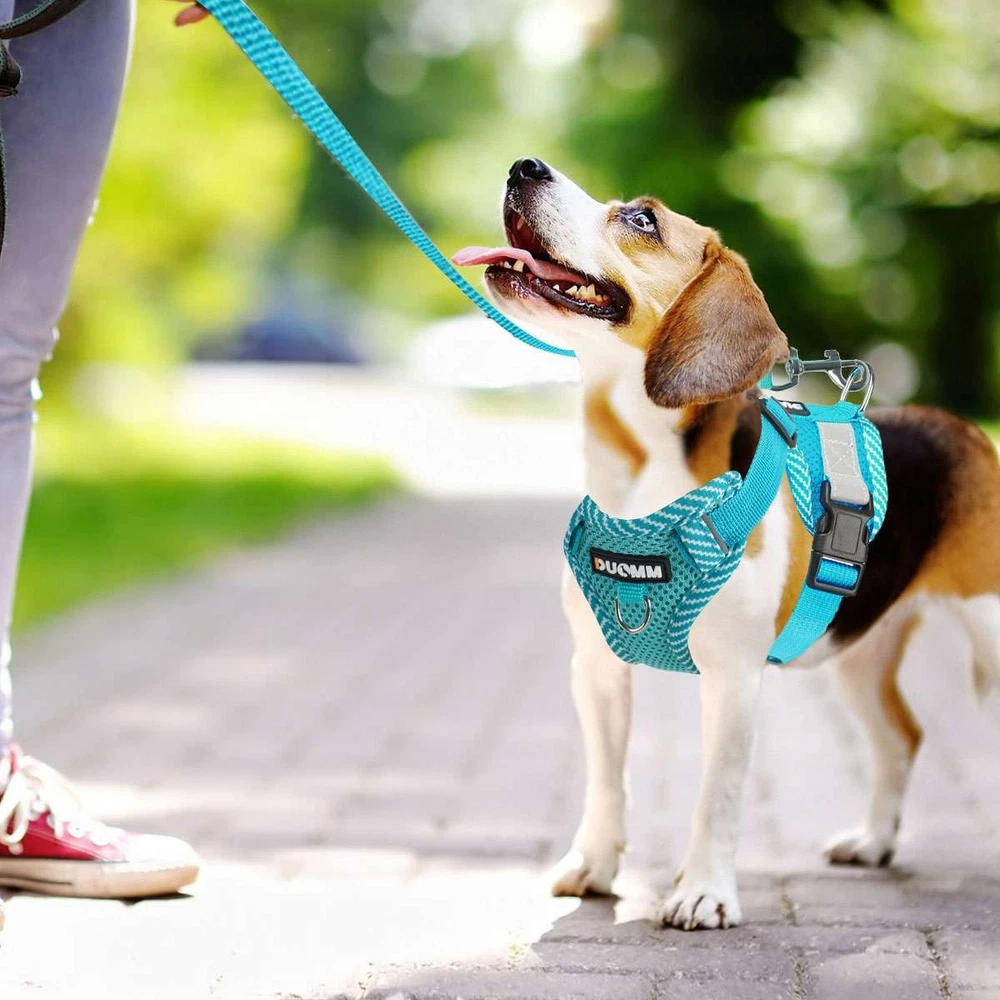 Dog Harness for Small Dogs Adjustable Puppy Cat Harness Vest Pet Outdoor Walking Dog Harness for Small Dogs Adjustable Puppy Cat Harness Vest Pet Outdoor Walking