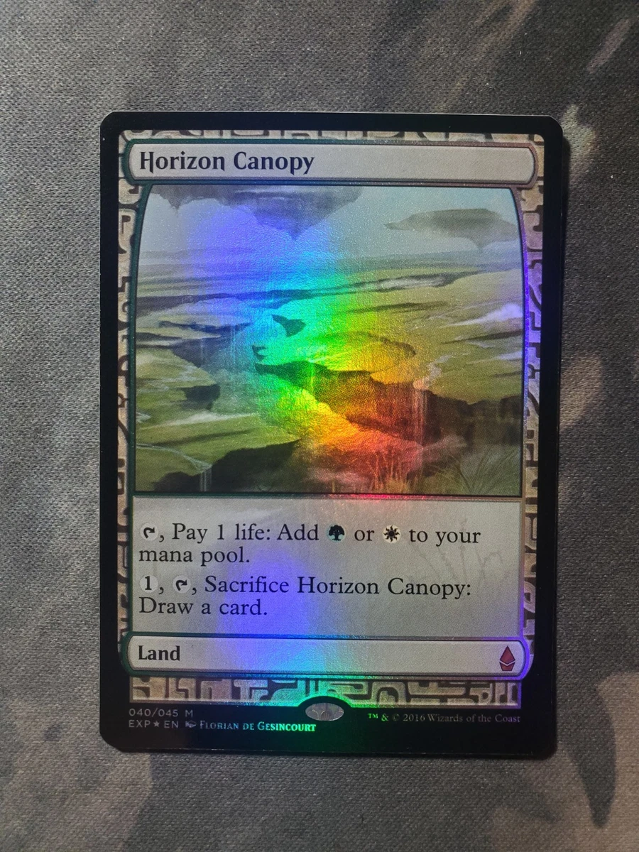 Mtg foil 湿地の干潟 Zendikar Expeditions Hallowed Fountain - Zendikar Expeditions - Magic: The Gathering