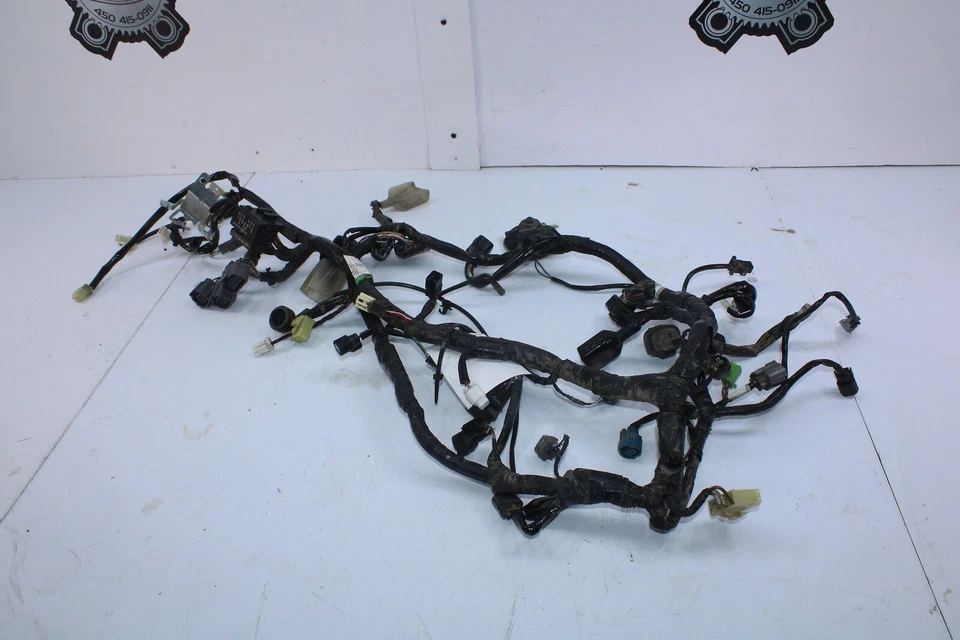 15 KAWASAKI NINJA 300 EX300 ARNÉS DE CABLEADO PRINCIPAL TELAR 26031-1814 Foto 4 de 4