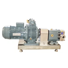 220V Cam Rotor Pump Transfer Pump Three-Phase High Viscosity Delivery 