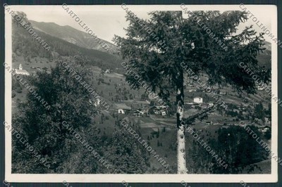 Trento Palù Sant Orsola Panorama Photo Postcard BB4362