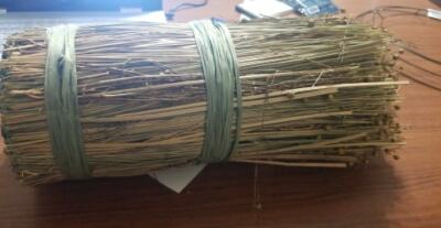 NATURAL DRIED TAPESTRY GRASS GRAIN WHEAT FLORAL FOLIAGE FLOWER STEMS (B15