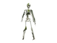 INNA-Glas Deko Halloween Skelett Wendelin, Mit Moos Bedeckt, 40Cm