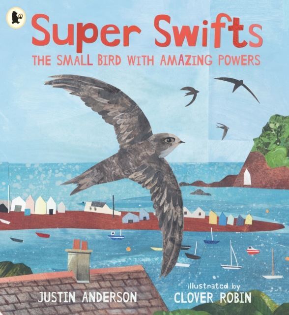 Super Swifts: The Small Bird With Amazing Powers by Justin Anderson Paperback