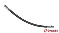 Bremsschlauch Brembo T 23 081 FüR Peugeot CitroËN Alfa Fiat C25 Ducato Jumper J5