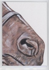 2012 Sportkings National Convention VIP Puzzle Card Man O'War (Middle Right) 1h8