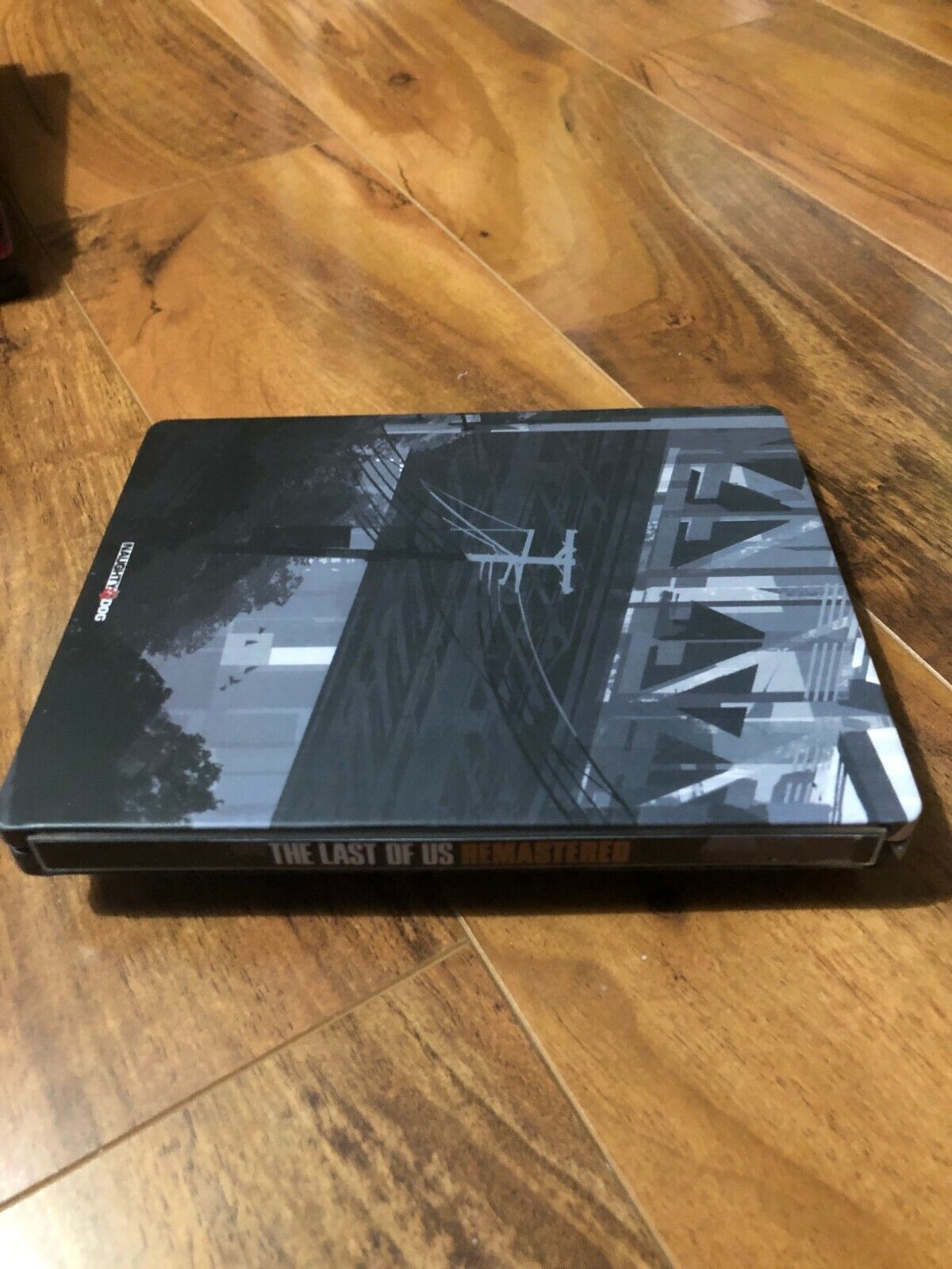 Stalker 2 Custom Made Steelbook Case for PS4 PS5 Xbox Case Only