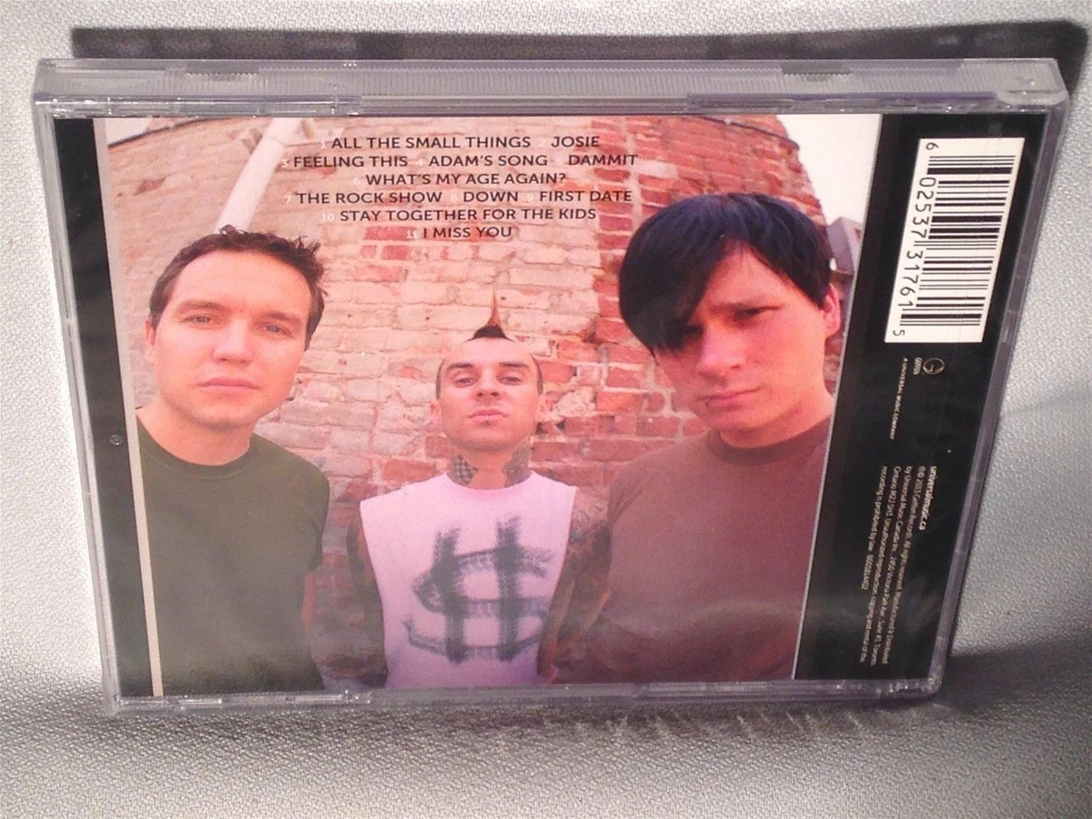 Blink 182 Icon Album Cover