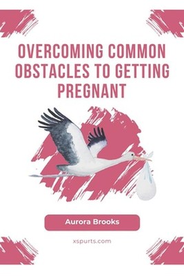 Overcoming Common Obstacles to Getting Pregnant by Aurora Brooks Paperback Book