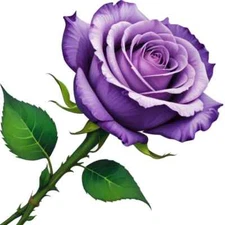 30 Custom Purple Rose Special Personalized Address Labels