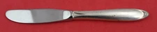 Raindrop by Lunt Sterling Silver Butter Spreader Hollow Handle modern 6 1/4"