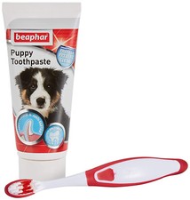 beaphar toothbrush and toothpaste kit
