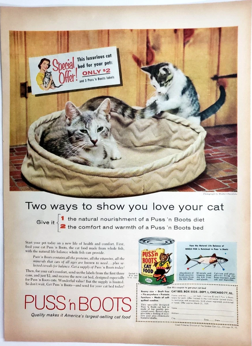 Food cat clearance bed